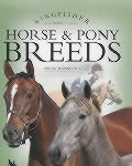 Riding Club Horse & Pony Breeds